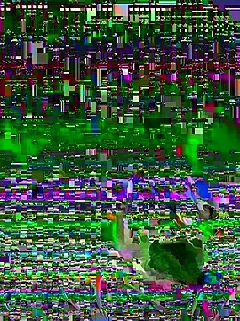 jayc23 online show from 05/23/26, 10:09