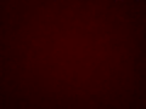 Snapshot of Teeh998712 chatting on 04/05/26, 08:48 Teeh998712 online show from 04/05/26, 08:48