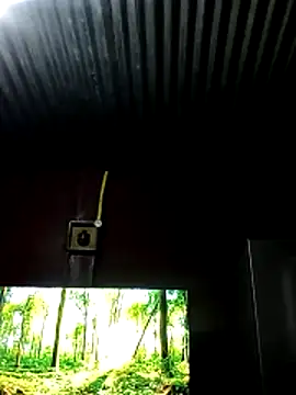 Snapshot of Sxxmann chatting on 05/15/26, 05:05 Sxxmann online show from 05/15/26, 05:05