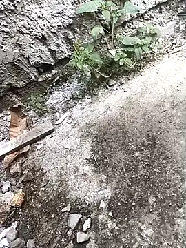 Snapshot of Rocky_pune chatting on 04/16/26, 03:40 Rocky pune online show from 04/16/26, 03:40