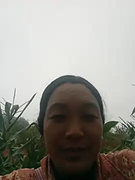 vanlucky2 online show from 06/29/26, 11:32