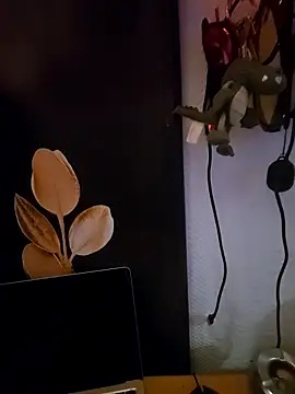 Kwiatywmroku online show from 04/09/26, 03:19