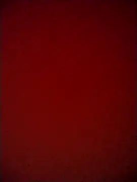 Shaniya03 online show from 05/06/26, 03:16