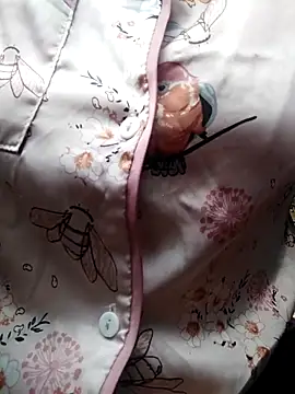 Snapshot of giahan1 chatting on 04/10/26, 12:50 giahan1 online show from 04/10/26, 12:50