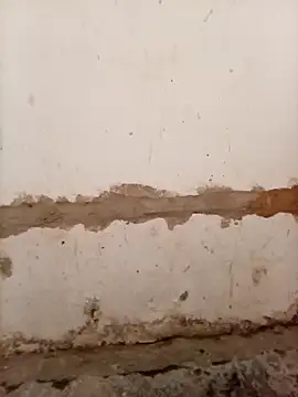 Nkazimulz online show from 04/09/26, 01:28