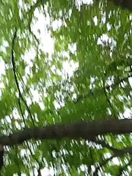 keyott online show from 05/17/26, 03:56