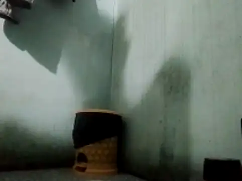 thichgaidambu online show from 05/27/26, 08:11