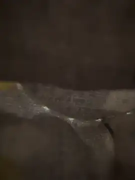 Snapshot of xezie chatting on 04/10/26, 10:00 xezie online show from 04/10/26, 10:00