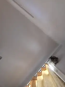 rathorejii online show from 04/14/26, 05:56