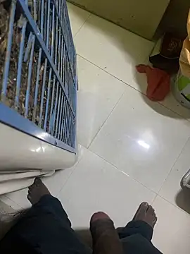 rahul 4457 online show from 04/14/26, 06:13