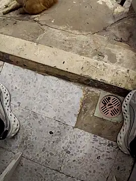 SwoppedEyedrop online show from 04/15/26, 11:05