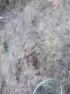 rocky play boy  online show from 05/25/26, 11:53