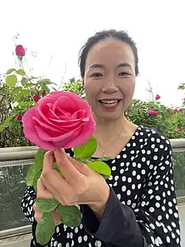 fafade2588 online show from 04/14/26, 08:30