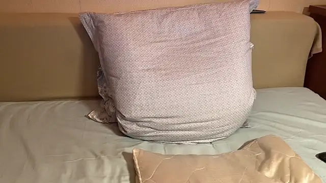 havedream online show from 04/20/26, 10:40