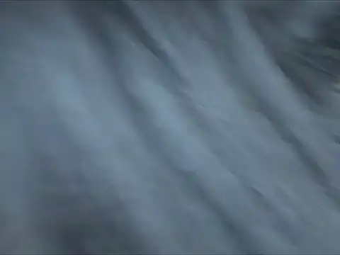 Rouse Wild online show from 05/25/26, 07:07