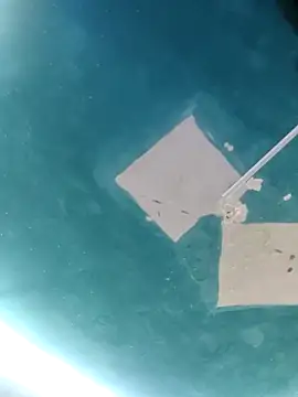 maicol6699 online show from 04/18/26, 05:10