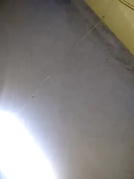 maicol6699 online show from 04/15/26, 11:38