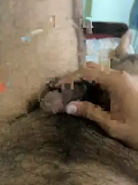 warm milk69 online show from 04/19/26, 04:02