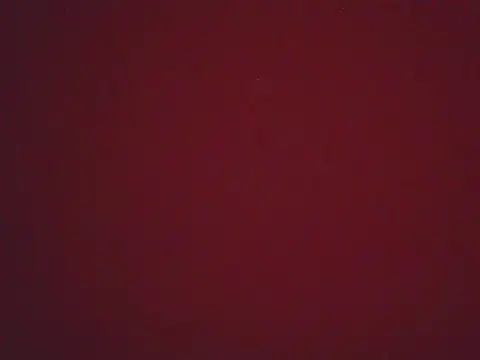 Snapshot of FernandaMartynelyh chatting on 04/22/26, 04:36 FernandaMartynelyh online show from 04/22/26, 04:36