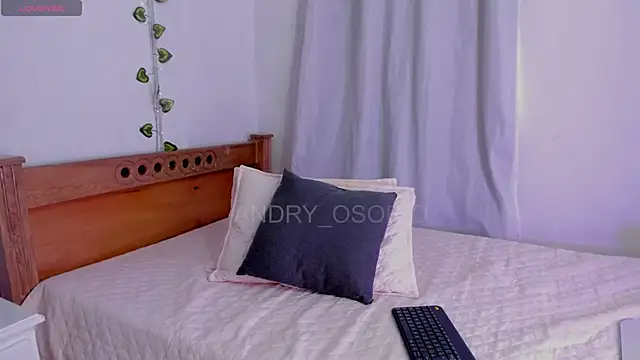 ANDRY OSORIO online show from 04/19/26, 12:50