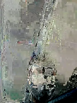 dickforpussyy online show from 05/12/26, 05:26