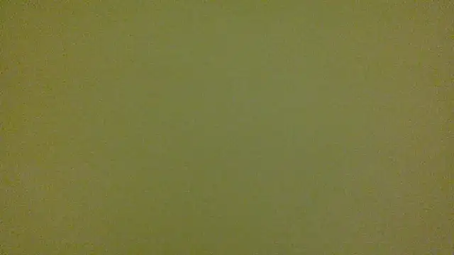 average jack online show from 04/16/26, 11:29