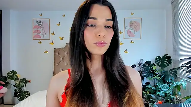 Snapshot of bella_grego chatting on 06/21/26, 05:41 bella grego online show from 06/21/26, 05:41