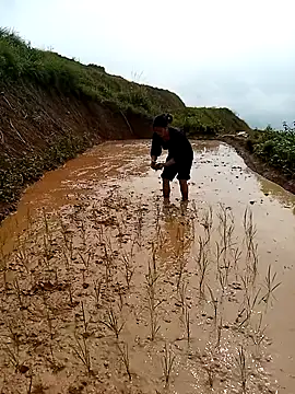 LucyBri01 online show from 04/18/26, 02:03