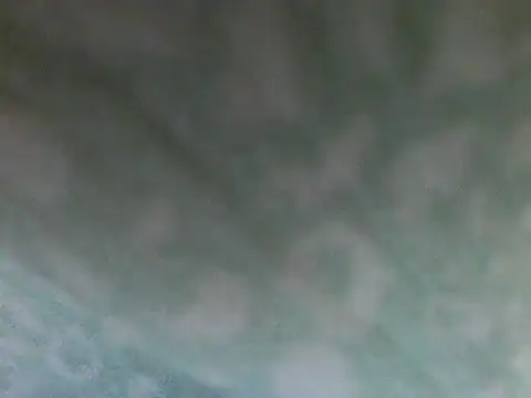 Short-V online show from 04/17/26, 08:11