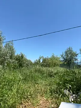 Mira Luna online show from 05/26/26, 10:02