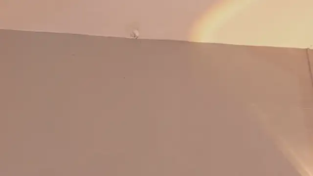 JadeHearrt online show from 05/28/26, 06:47