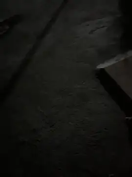 boyz toyz online show from 04/18/26, 03:25