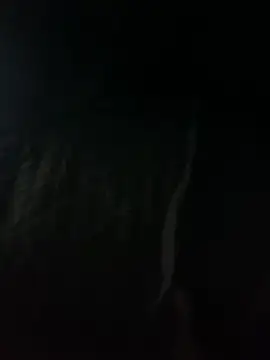 Flaco xdx online show from 04/22/26, 10:22