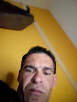 Shsaaeq online show from 04/18/26, 08:09