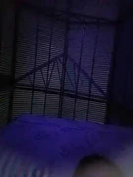 Jess-009 online show from 05/13/26, 05:42
