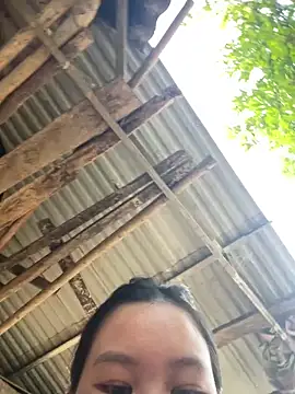 Swan 69 online show from 04/21/26, 10:00