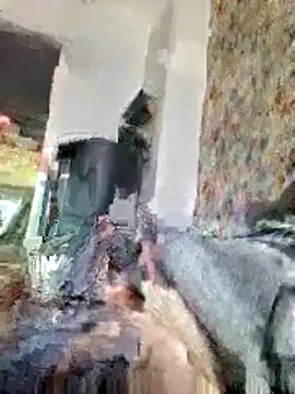 bellequeue147 online show from 04/21/26, 10:55