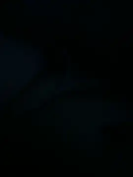 comedornato1989 online show from 04/22/26, 10:49