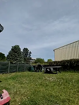 Osuleom29 online show from 04/25/26, 01:25