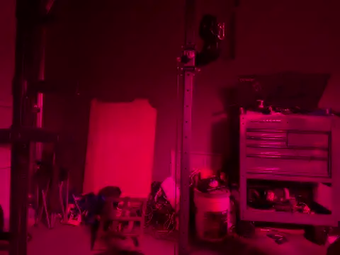 GypsyNova69 online show from 06/05/26, 08:42