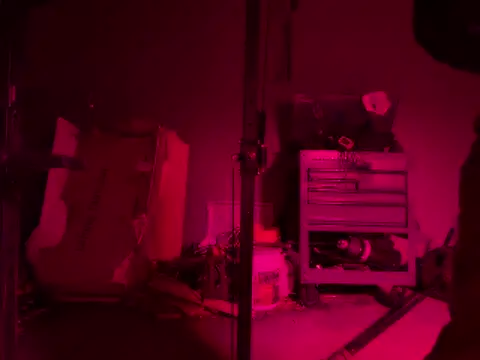 GypsyNova69 online show from 05/14/26, 04:42