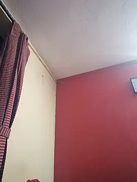 hornyflex ledger online show from 04/25/26, 03:53