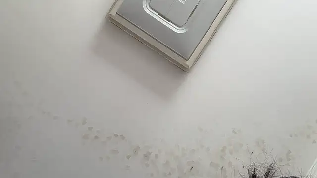 XIAOnaimao-001 online show from 05/13/26, 05:14