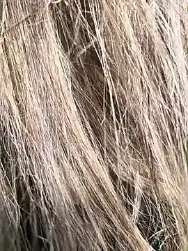 Snapshot of erikthor chatting on 06/26/26, 08:14 erikthor online show from 06/26/26, 08:14