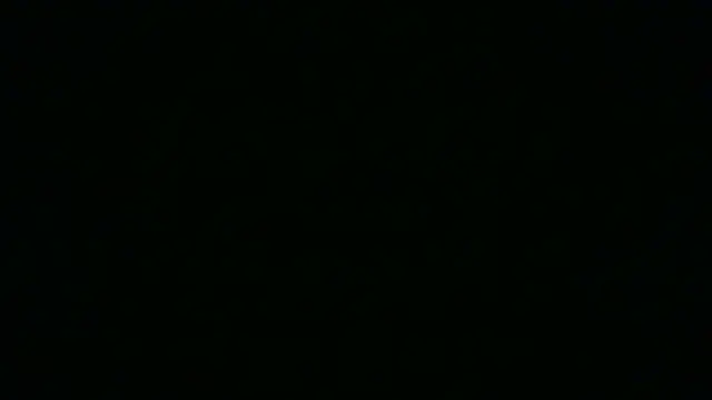 SamuelTal online show from 05/19/26, 07:43