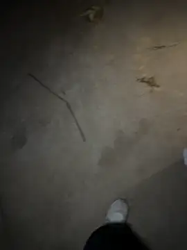   I like    online show from 04/30/26, 02:46