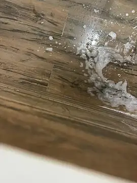 bfs130 online show from 04/29/26, 10:27