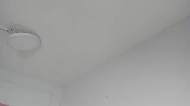 Sharon Adamss online show from 07/09/26, 07:24