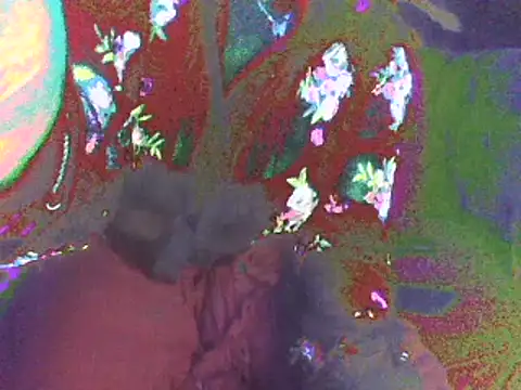 Rugare online show from 05/04/26, 10:34