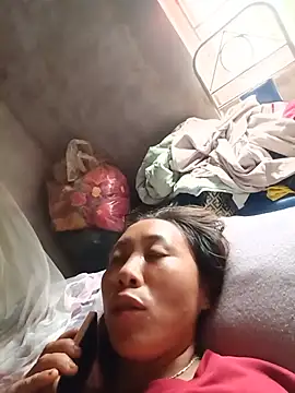 Jinli 01 online show from 07/15/26, 05:47